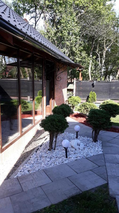 Casa Alberta Ocna Sugatag Ngoại thất bức ảnh