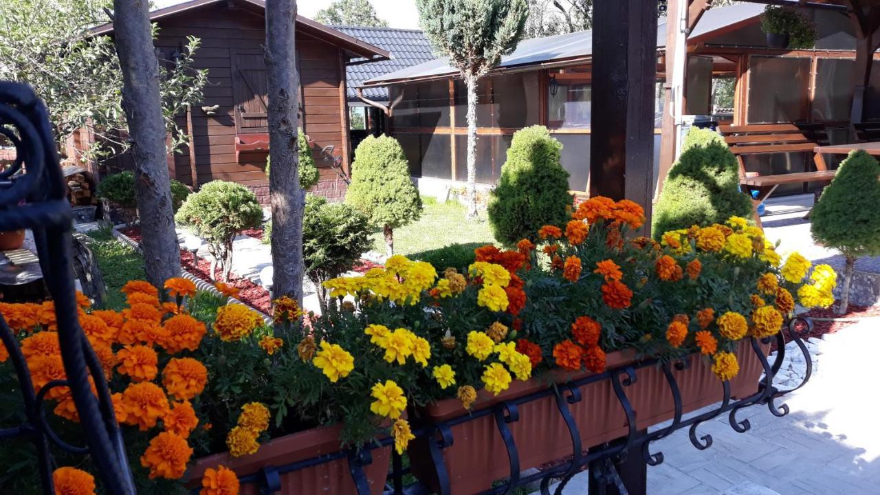Casa Alberta Ocna Sugatag Ngoại thất bức ảnh