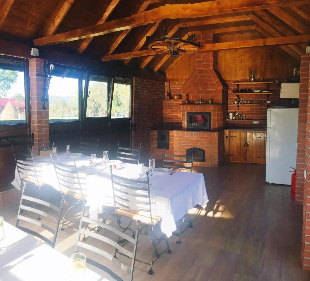 Casa Alberta Ocna Sugatag Ngoại thất bức ảnh
